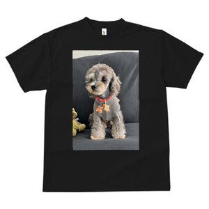 }v[ TVc fB[X t@  t  vg JWA 킢 lԗp h ̃fUC ʔ ʂ }v[ Z[^[ 