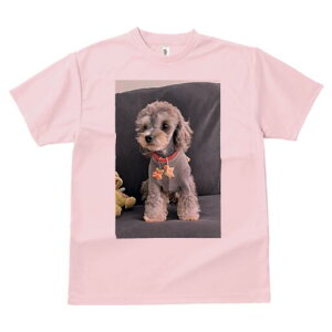 }v[ TVc fB[X t@  t  vg JWA 킢 lԗp h ̃fUC ʔ ʂ }v[ Z[^[ 