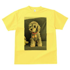 }v[ TVc fB[X t@  t  vg JWA 킢 lԗp h ̃fUC ʔ ʂ }v[ Z[^[ 