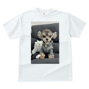 [NV[eA TVc fB[X t@  t  vg JWA 킢 lԗp h ̃fUC ʔ ʂ [NV[eA  