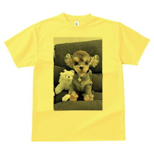 [NV[eA TVc fB[X t@  t  vg JWA 킢 lԗp h ̃fUC ʔ ʂ [NV[eA  