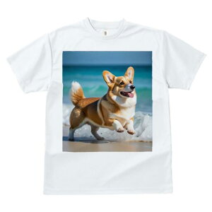 R[M[ TVc fB[X t@  t  vg JWA 킢 lԗp h ̃fUC ʔ C R[M[ g l