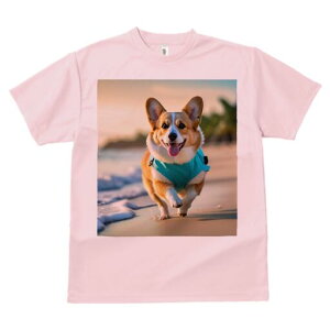 R[M[ TVc fB[X t@  t  vg JWA 킢 lԗp h ̃fUC ʔ r[` R[M[ C C 