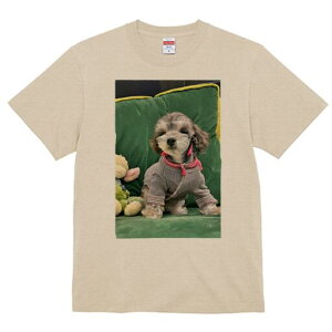 }`[YƃV[Y[̃~bNX TVc fB[X t@  t  vg JWA 킢 lԗp h ̃fUC ʔ  }`[YƃV[Y[̃~bNX