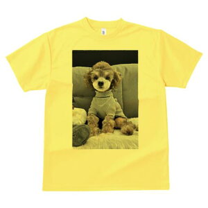 gCv[h TVc fB[X t@  t  vg JWA 킢 lԗp h ̃fUC ʔ Z[^[ gCv[h NbV