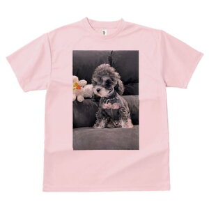 ~j`AViEU[ TVc fB[X t@  t  vg JWA 킢 lԗp h ̃fUC ʔ ʂ ~j`AViEU[ Z[^[