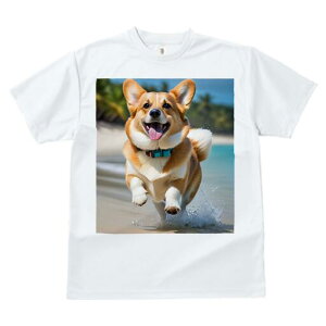 R[M[ TVc fB[X t@  t  vg JWA 킢 lԗp h ̃fUC ʔ r[` R[M[ C  x