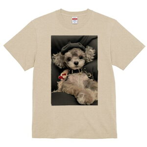 gCv[h TVc fB[X t@  t  vg JWA 킢 lԗp h ̃fUC ʔ Xq gCv[h ʂ