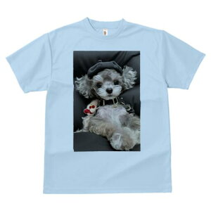 gCv[h TVc fB[X t@  t  vg JWA 킢 lԗp h ̃fUC ʔ Xq gCv[h ʂ