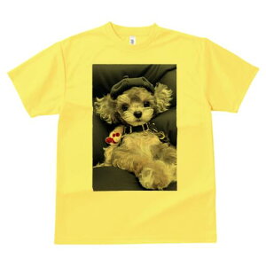 gCv[h TVc Y LbY t@  t  vg JWA 킢 lԗp h ̃fUC ʔ Xq gCv[h ʂ