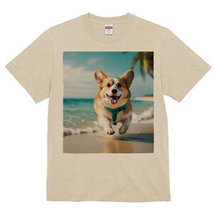 R[M[ TVc fB[X t@  t  vg JWA 킢 lԗp h ̃fUC ʔ r[` R[M[ C  x