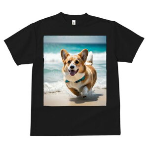 R[M[ TVc fB[X t@  t  vg JWA 킢 lԗp h ̃fUC ʔ C R[M[ l g 