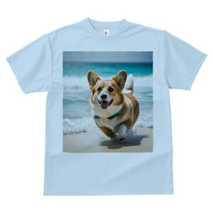 R[M[ TVc fB[X t@  t  vg JWA 킢 lԗp h ̃fUC ʔ C R[M[ l g 