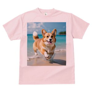 R[M[ TVc fB[X t@  t  vg JWA 킢 lԗp h ̃fUC ʔ r[` R[M[ C g 