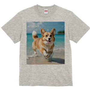 R[M[ TVc fB[X t@  t  vg JWA 킢 lԗp h ̃fUC ʔ r[` R[M[ C g 