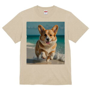 R[M[ TVc fB[X t@  t  vg JWA 킢 lԗp h ̃fUC ʔ r[` R[M[ C g l