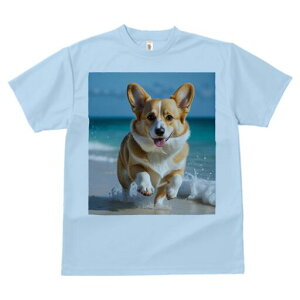 R[M[ TVc fB[X t@  t  vg JWA 킢 lԗp h ̃fUC ʔ r[` R[M[ C g l