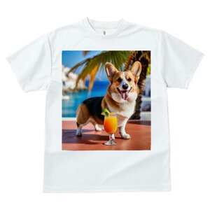 R[M[ TVc fB[X t@  t  vg JWA 킢 lԗp h ̃fUC ʔ W[X R[M[ C ][g V̖