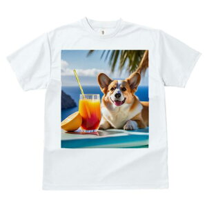 R[M[ TVc fB[X t@  t  vg JWA 킢 lԗp h ̃fUC ʔ W[X R[M[ IW C V̖