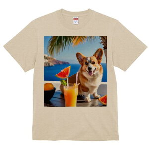 R[M[ TVc fB[X t@  t  vg JWA 킢 lԗp h ̃fUC ʔ C R[M[ W[X IW ][g