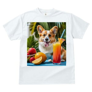 R[M[ TVc fB[X t@  t  vg JWA 킢 lԗp h ̃fUC ʔ t[c R[M[ W[X  gsJ