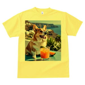 R[M[ TVc fB[X t@  t  vg JWA 킢 lԗp h ̃fUC ʔ JNe R[M[ ݕ  ][g