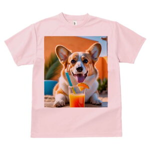 R[M[ TVc fB[X t@  t  vg JWA 킢 lԗp h ̃fUC ʔ W[X R[M[  ݕ ][g