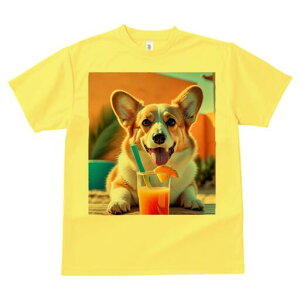 R[M[ TVc fB[X t@  t  vg JWA 킢 lԗp h ̃fUC ʔ W[X R[M[  ݕ ][g