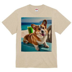 R[M[ TVc fB[X t@  t  vg JWA 킢 lԗp h ̃fUC ʔ C R[M[ W[X