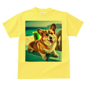 R[M[ TVc fB[X t@  t  vg JWA 킢 lԗp h ̃fUC ʔ C R[M[ W[X