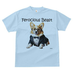 R[M[ TVc Y LbY t@  t  vg JWA 킢 lԗp h ̃fUC ʔ X[c R[M[ Kl lN^C