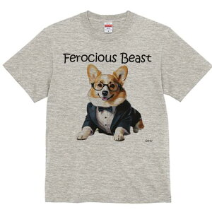 R[M[ TVc Y LbY t@  t  vg JWA 킢 lԗp h ̃fUC ʔ X[c R[M[ Kl lN^C