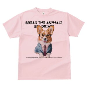 R[M[ TVc Y LbY t@  t  vg JWA 킢 lԗp h ̃fUC ʔ X[c R[M[ lN^C Kl