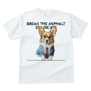 R[M[ TVc fB[X t@  t  vg JWA 킢 lԗp h ̃fUC ʔ X[c R[M[ lN^C Kl