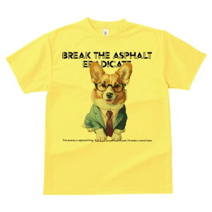 R[M[ TVc fB[X t@  t  vg JWA 킢 lԗp h ̃fUC ʔ X[c R[M[ lN^C Kl