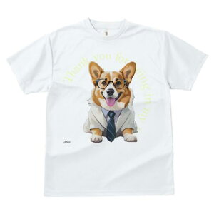 R[M[ TVc fB[X t@  t  vg JWA 킢 lԗp h ̃fUC ʔ X[c R[M[ lN^C Kl