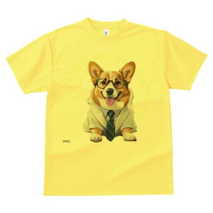 R[M[ TVc fB[X t@  t  vg JWA 킢 lԗp h ̃fUC ʔ X[c R[M[ lN^C Kl