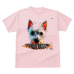 EGXgnChzCgeA TVc fB[X t@  t  vg JWA 킢 lԗp h ̃fUC ʔ EGXgnChzCgeA