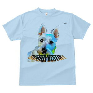 EGXgnChzCgeA TVc Y LbY t@  t  vg JWA 킢 lԗp h ̃fUC ʔ EGXgnChzCge