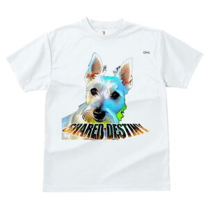 EGXgnChzCgeA TVc fB[X t@  t  vg JWA 킢 lԗp h ̃fUC ʔ EGXgnChzCgeA