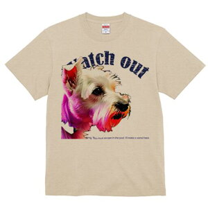 EGXgnChzCgeA TVc fB[X t@  t  vg JWA 킢 lԗp h ̃fUC ʔ TVc EGXgnChzC