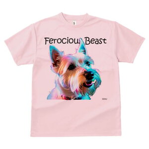 EGXgnChzCgeA TVc fB[X t@  t  vg JWA 킢 lԗp h ̃fUC ʔ TVc EGXgnChzC