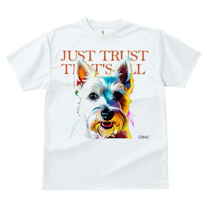 EGXgnChzCgeA TVc fB[X t@  t  vg JWA 킢 lԗp h ̃fUC ʔ EGXgnChzCgeA