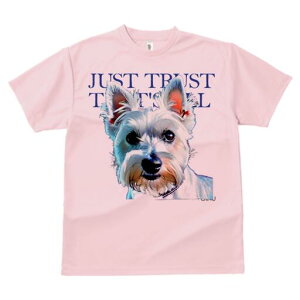 EGXgnChzCgeA TVc fB[X t@  t  vg JWA 킢 lԗp h ̃fUC ʔ EGXgnChzCgeA