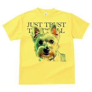 EGXgnChzCgeA TVc Y LbY t@  t  vg JWA 킢 lԗp h ̃fUC ʔ EGXgnChzCge