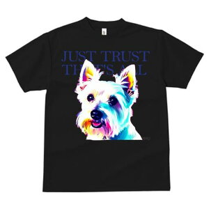 EGXgnChzCgeA TVc Y LbY t@  t  vg JWA 킢 lԗp h ̃fUC ʔ EGXgnChzCge