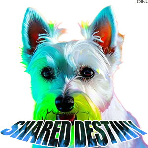 EGXgnChzCgeA NbVJo[ 45×45cm Aj}   NbV{̕t ` t@