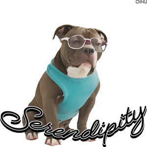 Kl AJu[  NbVJo[ 45×45cm Aj}   NbV{̕t ` t@