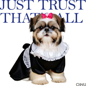 Ch V[Y[ { NbVJo[ 45×45cm Aj}   NbV{̕t ` t@