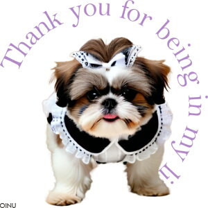 Ch V[Y[ { NbVJo[ 45×45cm Aj}   NbV{̕t ` t@